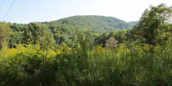 Tract 3A Qualla Road