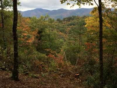 Lot 28 Big Cove Drive