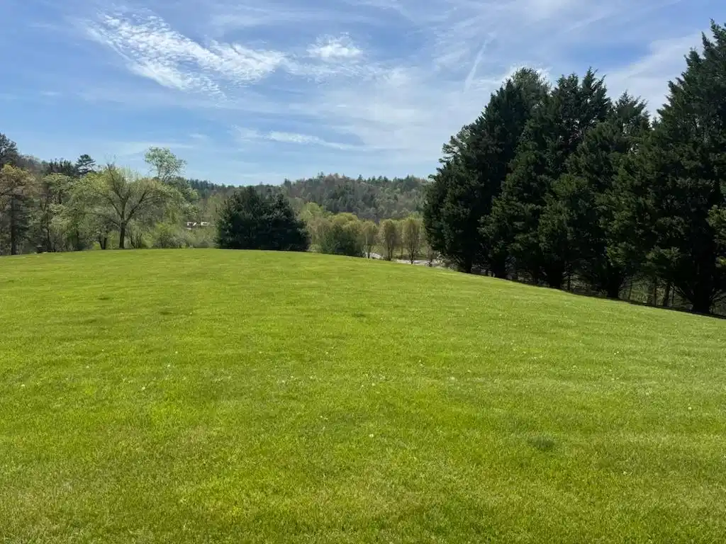 Image 1: Main View