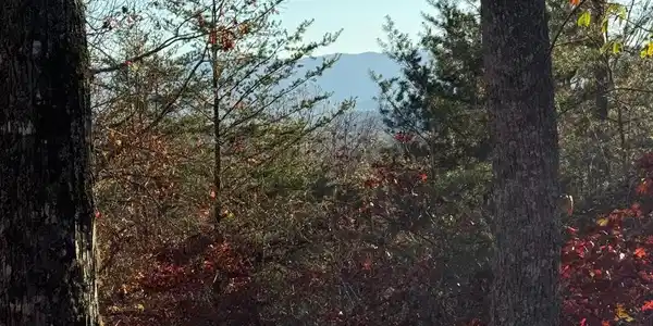 Lot 26-A Licklog Ridge