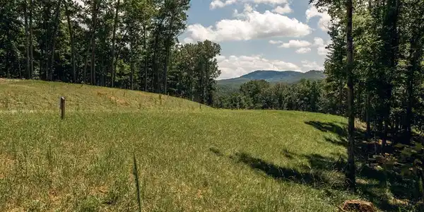 Lot 133 Ridges Of Blue Ridge