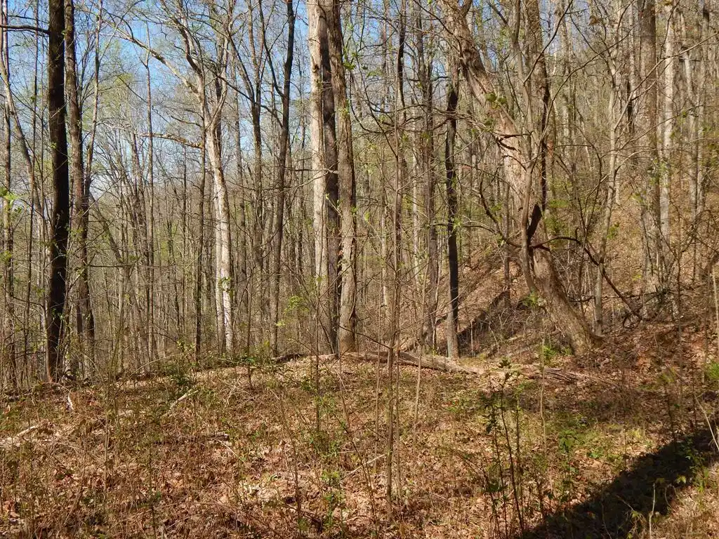 Image 1: Main View