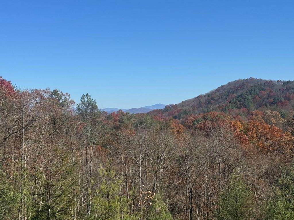 Image 3: View