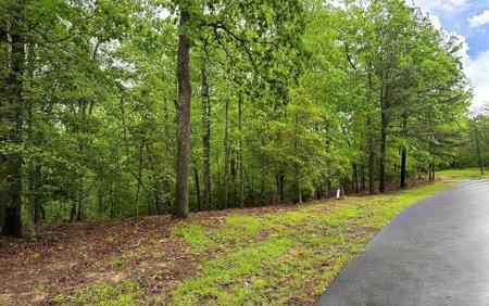 Lot 6 Brasstown Trails