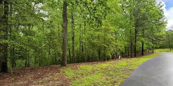 Lot 6 Brasstown Trails