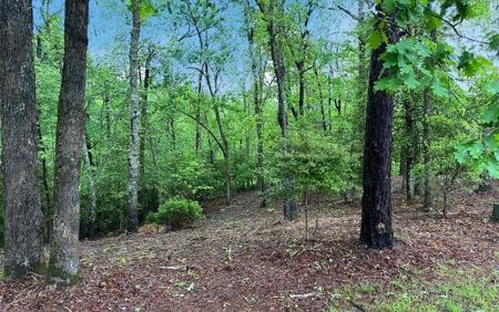 Lot 7 Brasstown Trails