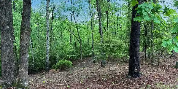 Lot 7 Brasstown Trails