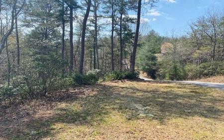 Lot 28 Brasstown Trails