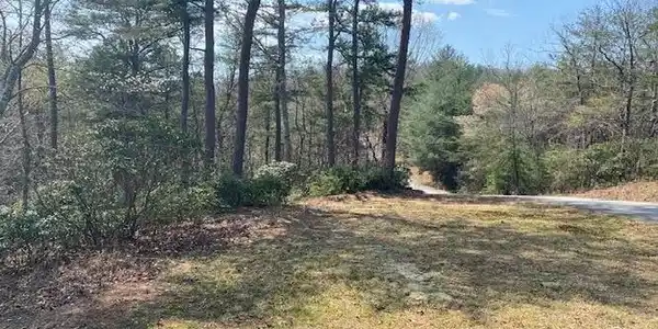 Lot 28 Brasstown Trails
