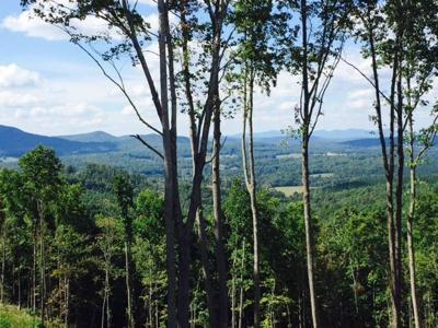 59 Ridge Peak View