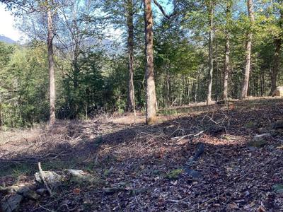 Lot 2 Buckhead Hills