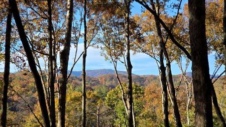 Lot 5 Gold Ridge Trail