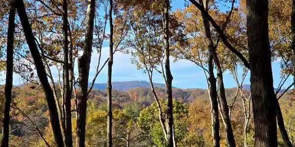 Lot 5 Gold Ridge Trail