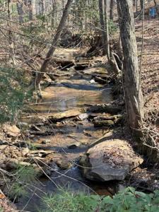 Lot 339 Timber Creek Trail