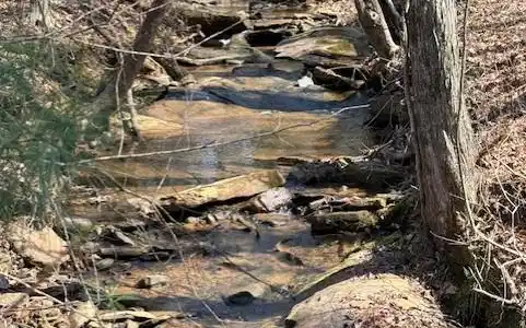 Lot 339 Timber Creek Trail