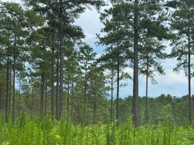 Lot 88 Springfield Parkway