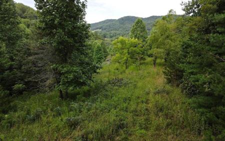 TBD Downings Creek