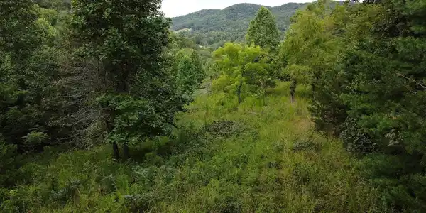 TBD Downings Creek