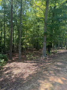 Lot 47 Point Overlook Trail
