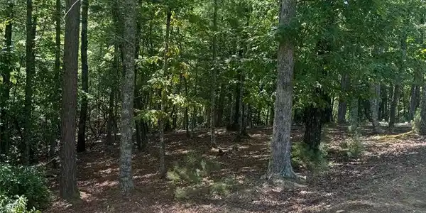 Lot 47 Point Overlook Trail
