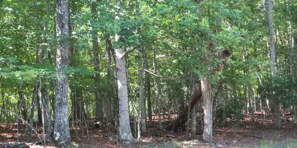 Lot 8 S Quail Cove Circle