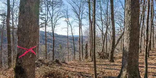 Lot 109A Folkstone Road