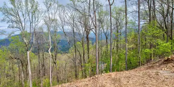 Lt 12&13 Greystone Trace
