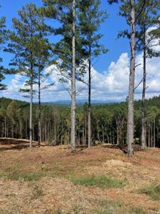 Lot 63 Lacey Springs Lane