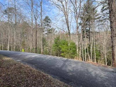Lot 10 Lower Fox Trail Road