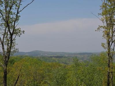 Lot 105 Twisted Oak Road