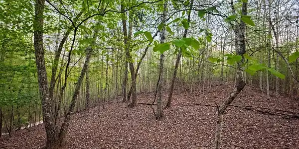 Lot 5 Riverbend Manor