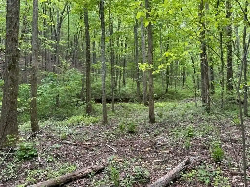 Image 1: Main View
