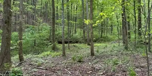 TR 1 Pleasant Hill Trail