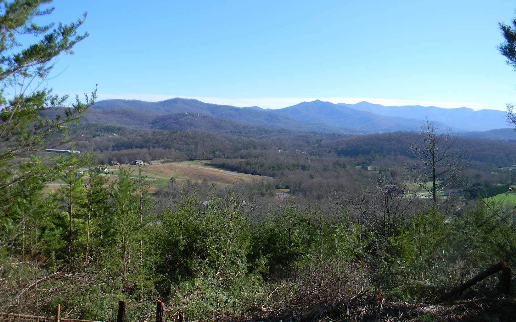 Image 1: Main View