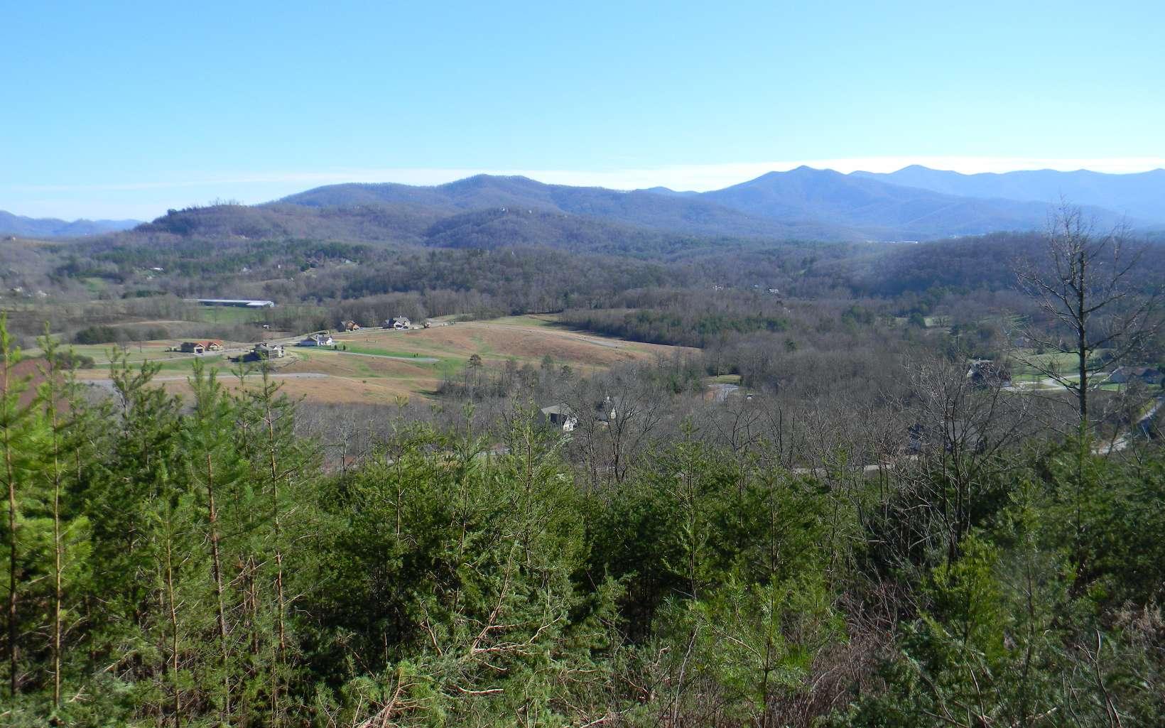 Image 2: Additional View