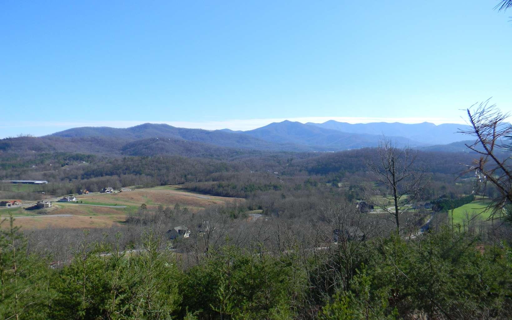 Image 3: Additional View