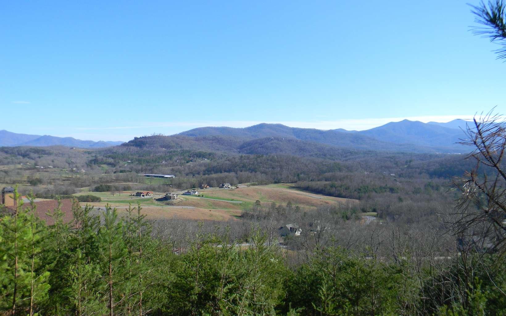 Image 4: Additional View