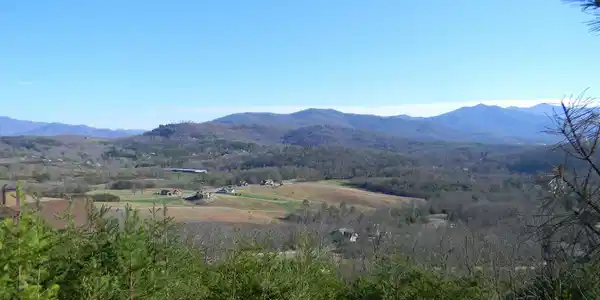 Image 4: Additional View