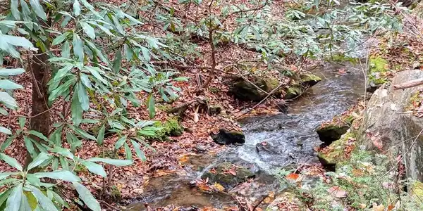 135.49ac Webb Creek Road