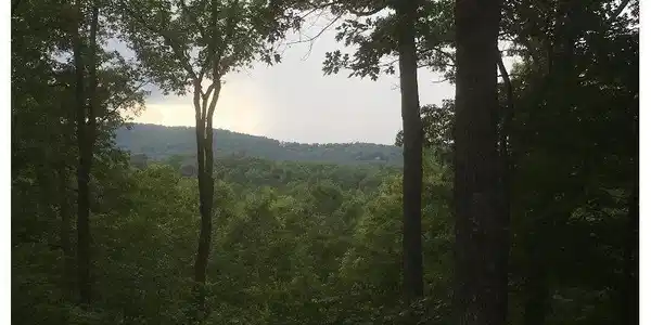 Lot 9 Sunrise Court