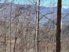 Lot 30 Hidden Summit Road