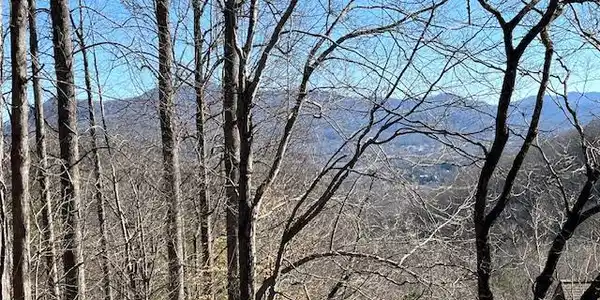 Lot 31 Hidden Summit Road