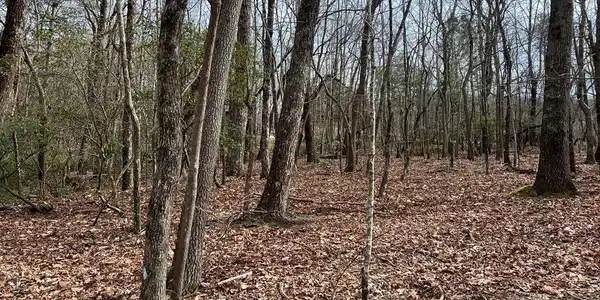Lot 4 Monument Falls