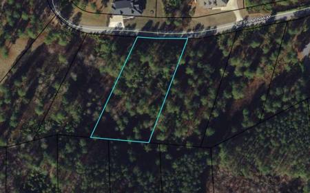 37 Loftis Mountain