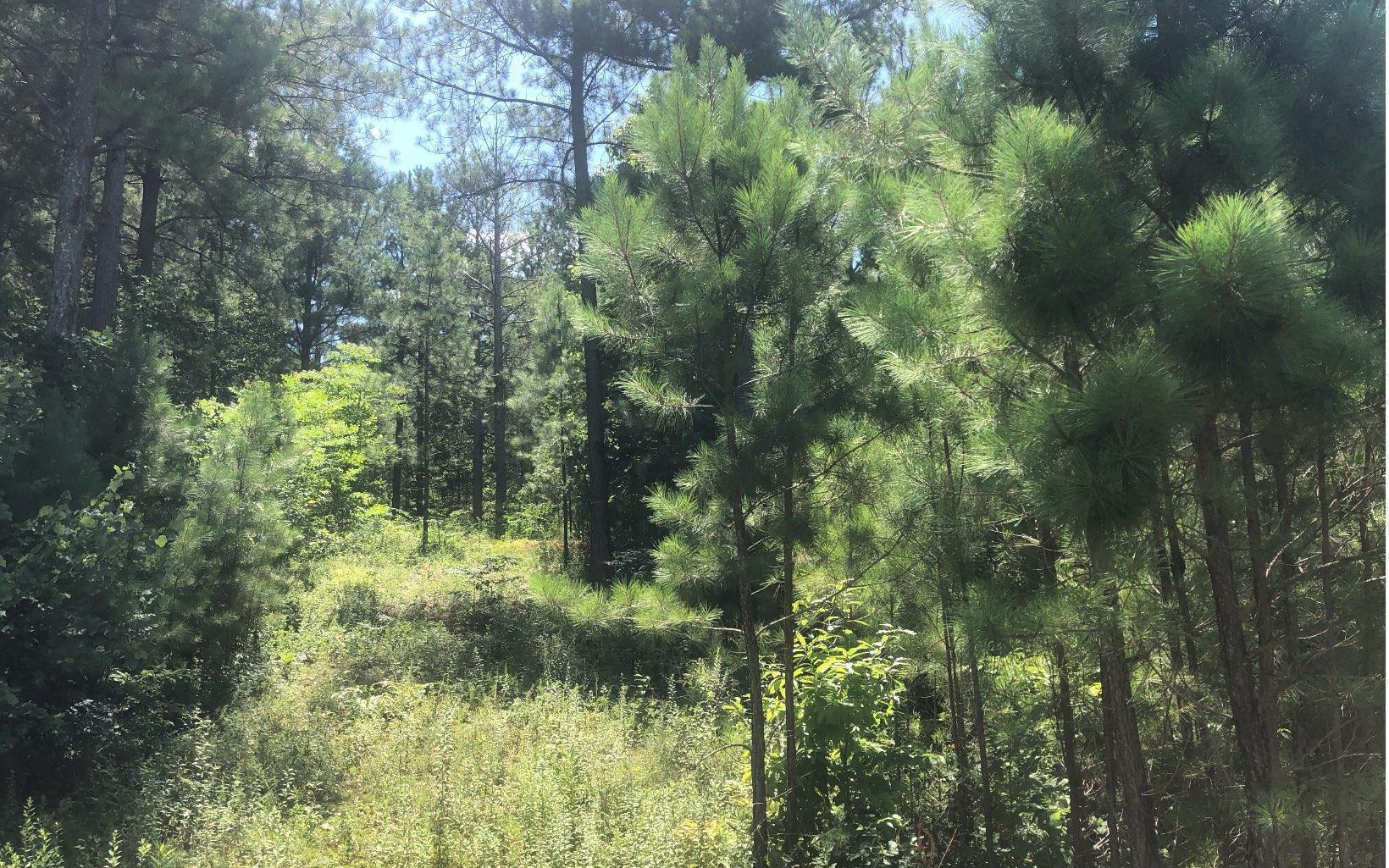 Image 2: Additional View
