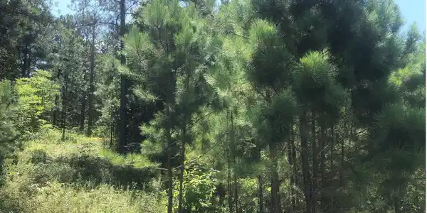 Image 3: Additional View