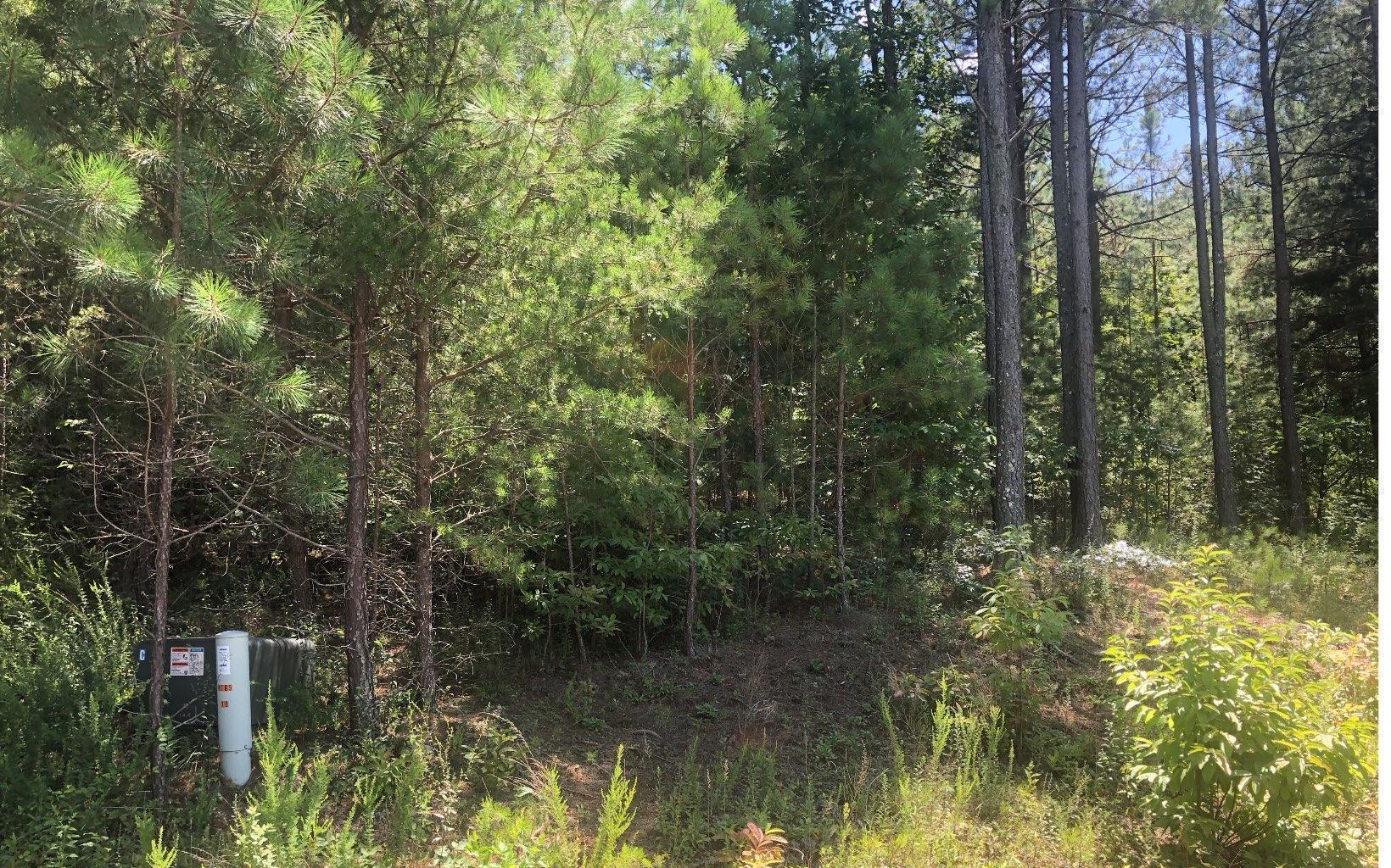 Image 4: Additional View