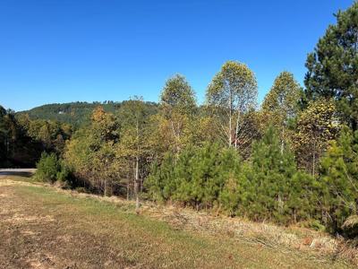 Lot 379 Marshall Rise Road