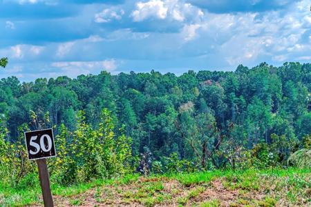 Lot 50 Jakes Landing Way