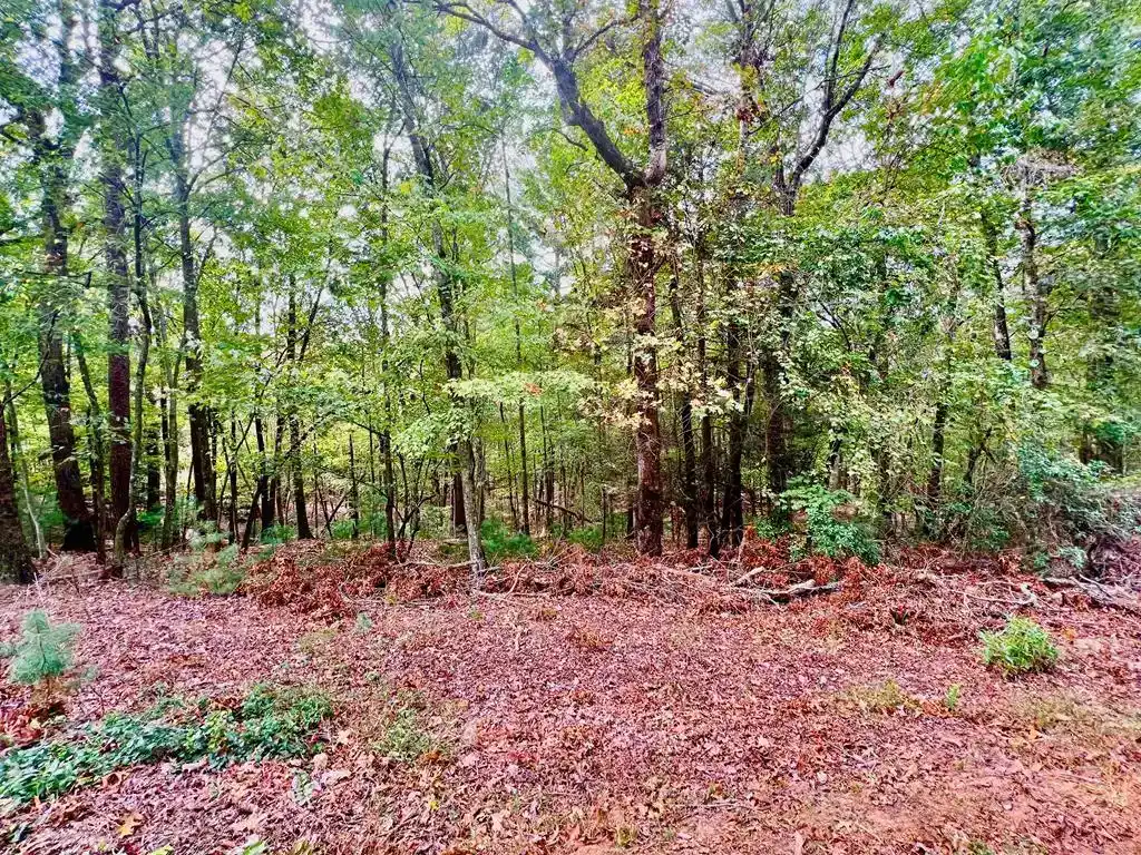 Image 1: Main View